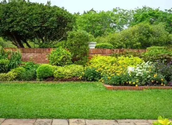 landscaping services Baltimore Highlands